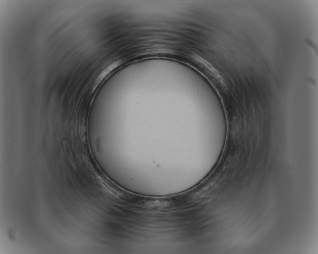 X0000090961321200708301154