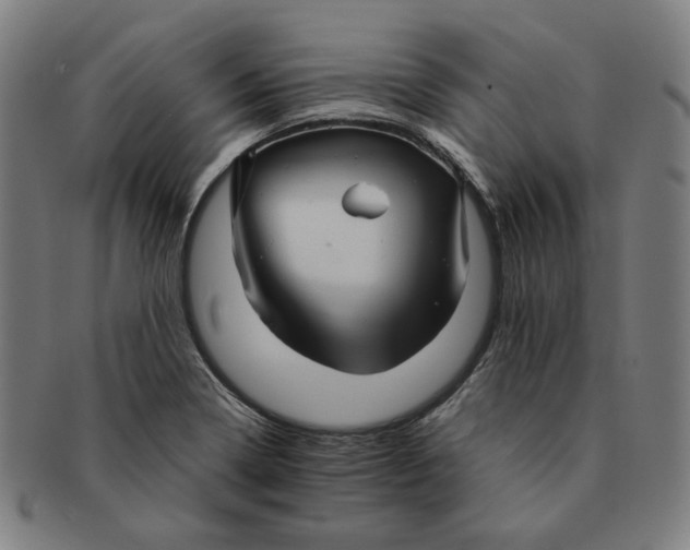 X0000090961322200708301154