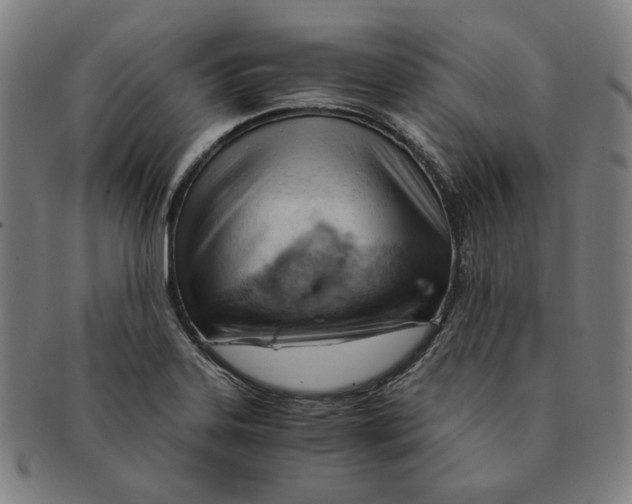 X0000090961323200708301154