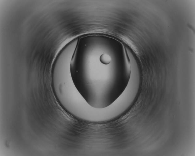 X0000090961324200708301154