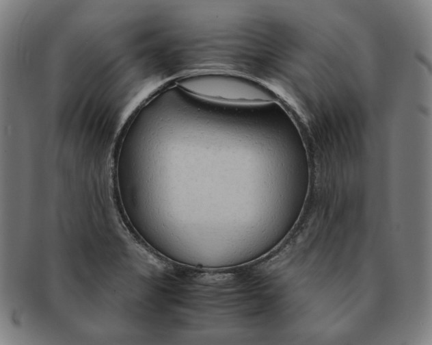 X0000090961325200708301154