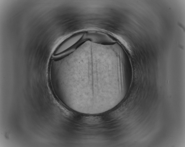 X0000090961327200708301154