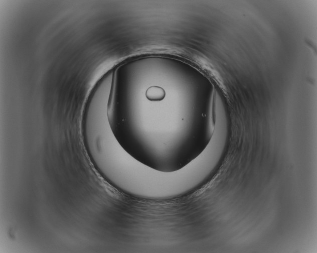 X0000090961328200708301154