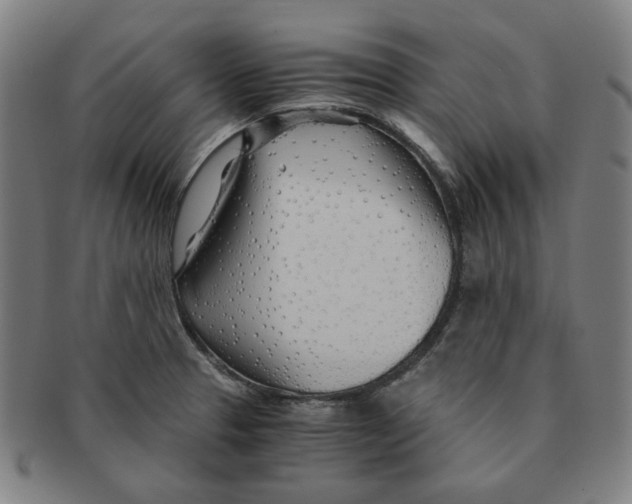 X0000090961329200708301154