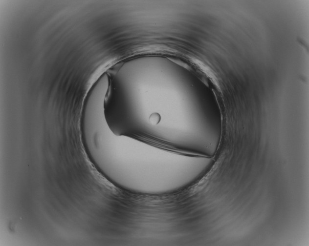 X0000090961330200708301154