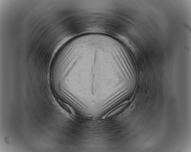 X0000090961331200708301154