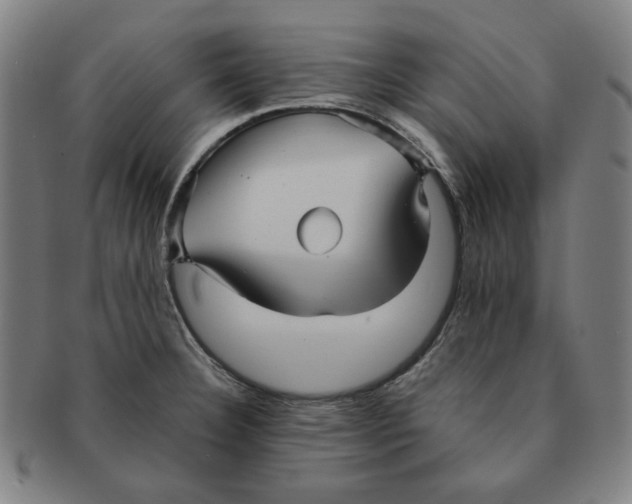 X0000090961332200708301154