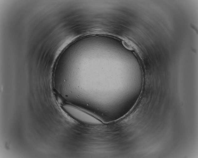 X0000090961333200708301154