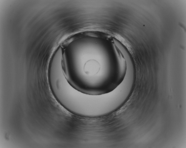 X0000090961334200708301154