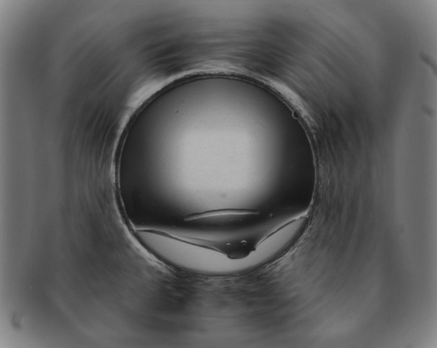 X0000090961335200708301154