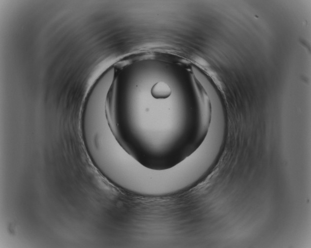 X0000090961336200708301154