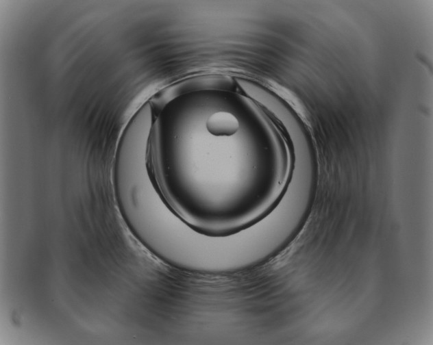 X0000090961338200708301154