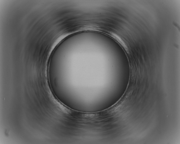 X0000090961339200708301154