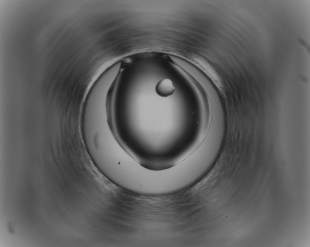 X0000090961340200708301154