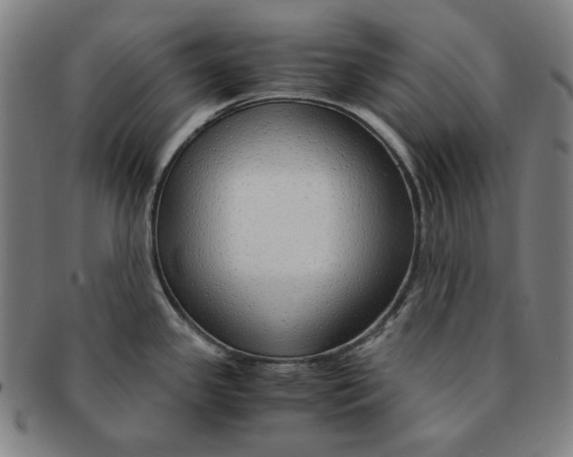 X0000090961341200708301154