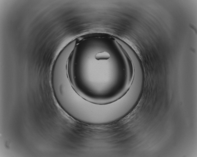 X0000090961342200708301154