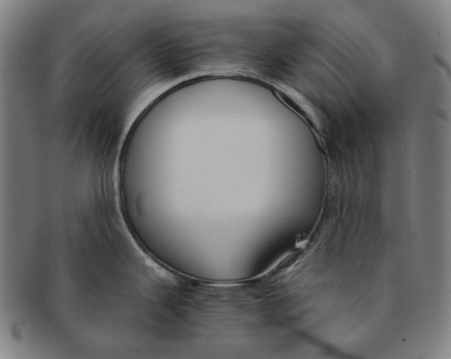 X0000090961343200708301154