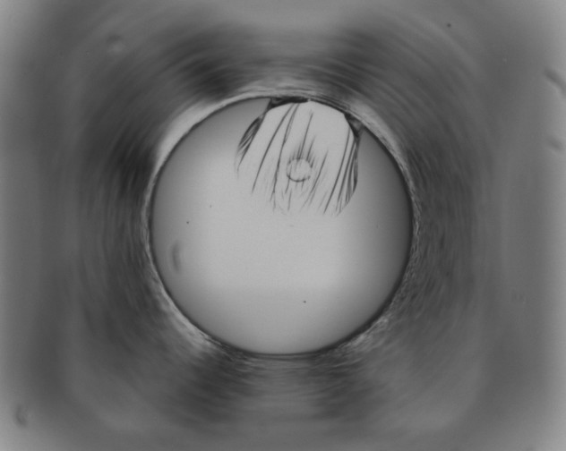 X0000090961344200708301154