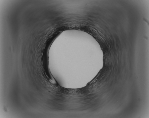 X0000090961345200708301153