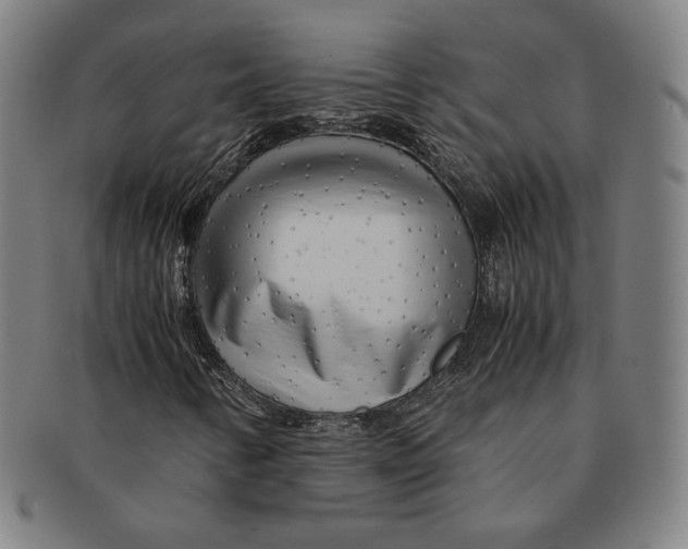 X0000090961346200708301153