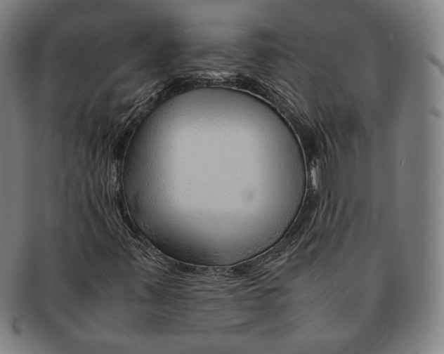 X0000090961347200708301153