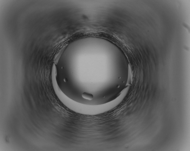 X0000090961348200708301153