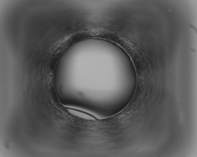 X0000090961349200708301153