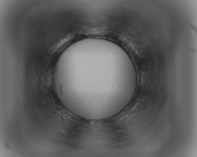 X0000090961350200708301153