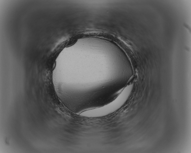 X0000090961351200708301153