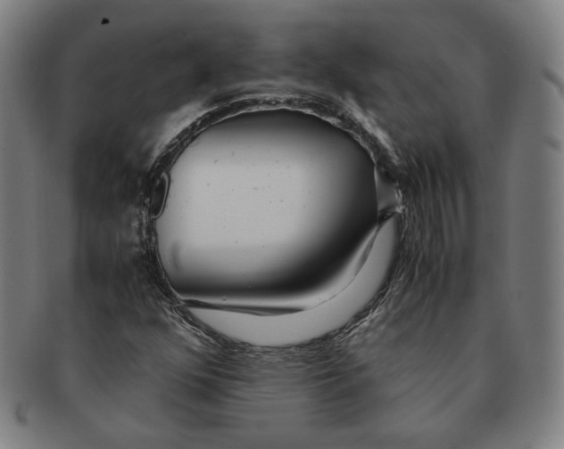 X0000090961352200708301153