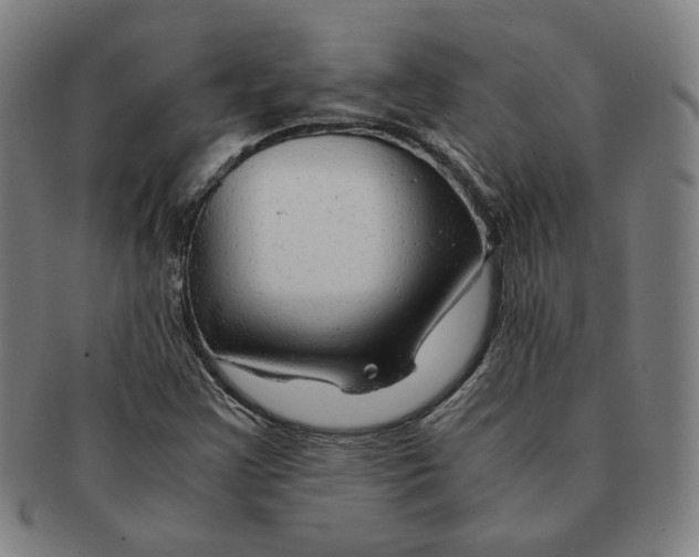 X0000090961355200708301153