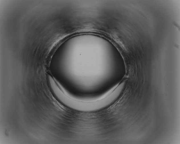 X0000090961356200708301153