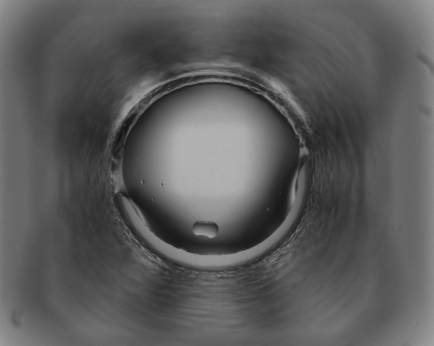 X0000090961360200708301153