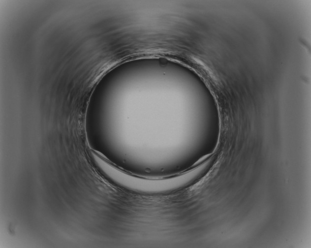 X0000090961361200708301153