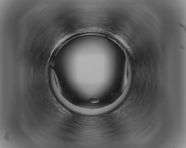 X0000090961364200708301153