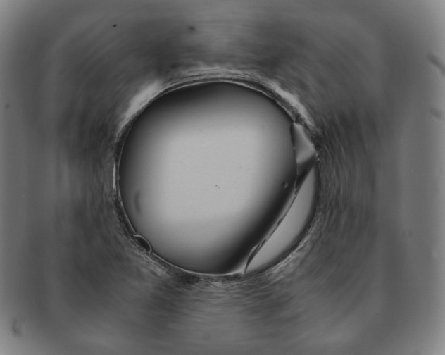 X0000090961365200708301153