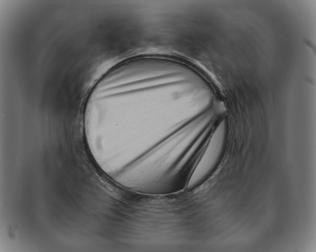 X0000090961367200708301153