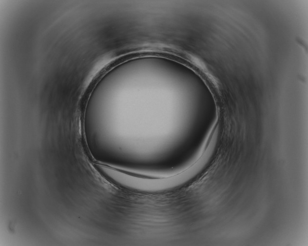 X0000090961368200708301153