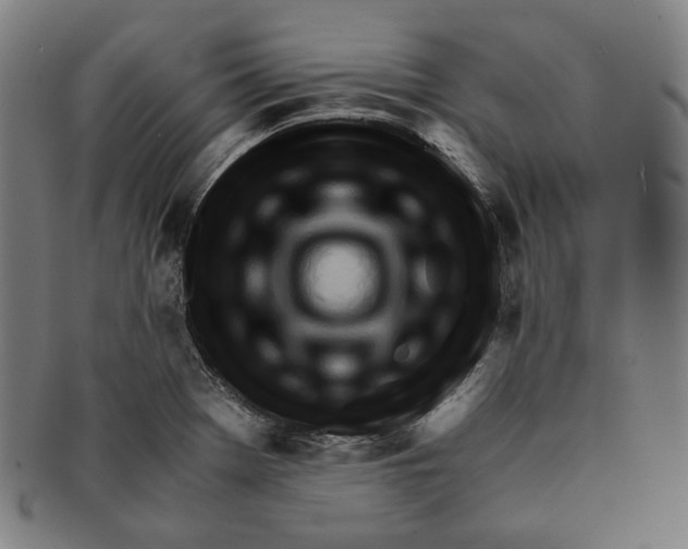 X0000090961369200708301153