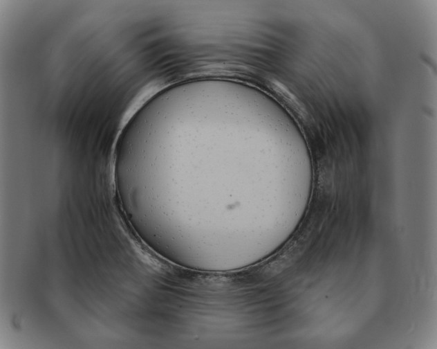 X0000090961370200708301153