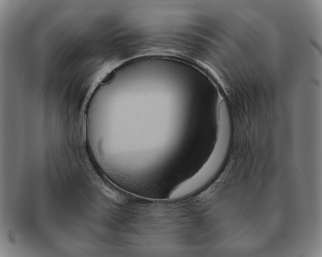 X0000090961371200708301153