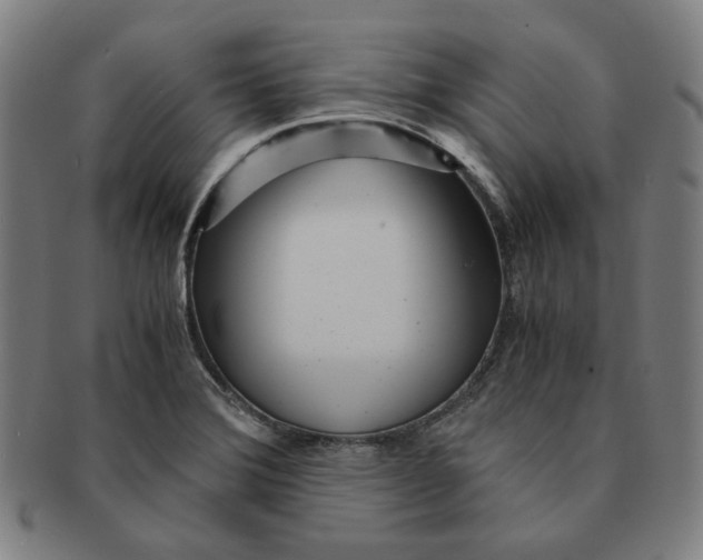 X0000090961372200708301153