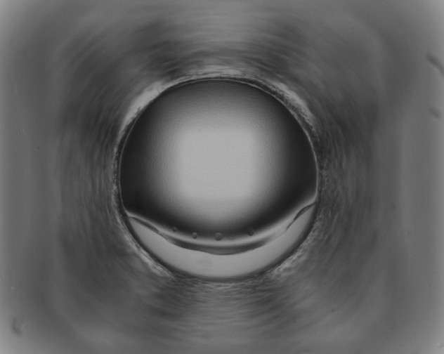 X0000090961373200708301153