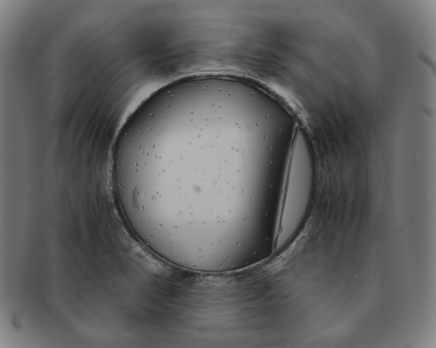 X0000090961374200708301153