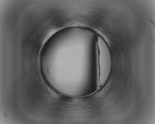 X0000090961375200708301153