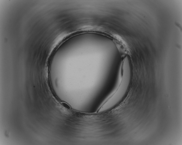 X0000090961376200708301153