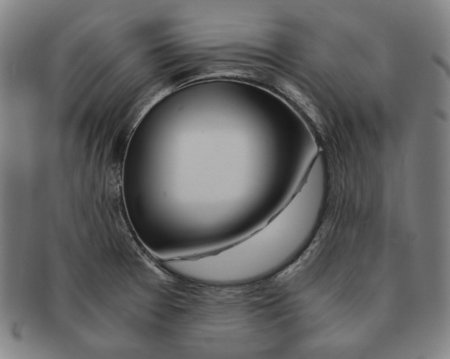 X0000090961377200708301153