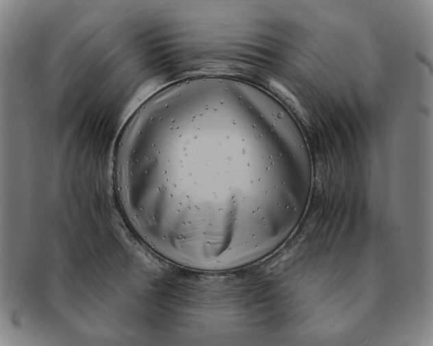 X0000090961378200708301153