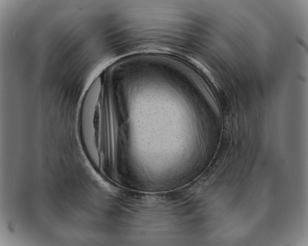 X0000090961379200708301153