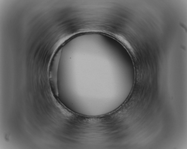 X0000090961380200708301153